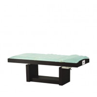 Массажный стол Venus Well